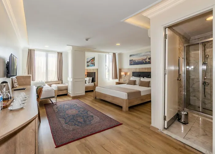 Old Topkapi Porta Romanos Ottoman Heritage Istambul